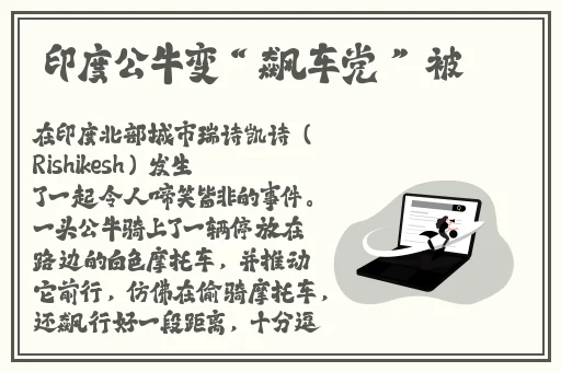 钢钢钢钢钢钢钢免费版